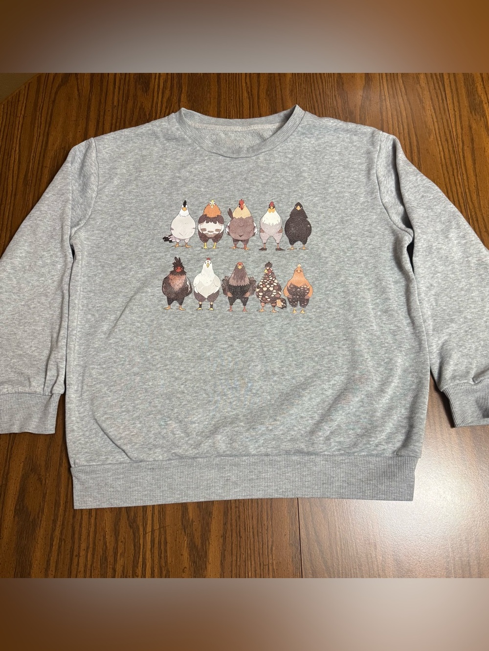 Gray Chicken Hens Graphic Sweatshirt Womens Small no tag Unbranded